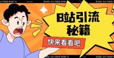 B站最新截流玩法：日引流200+，简单粗暴的流量密码！