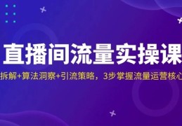直播间流量实操课：机制拆解+算法洞察+引流策略，3步掌握流量运营核心逻辑